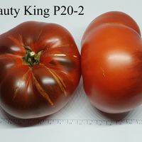 Beauty King P20 -2 